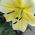 DSC00294.JPG