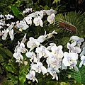 DSC00407.JPG