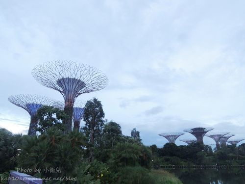 DSCN3667