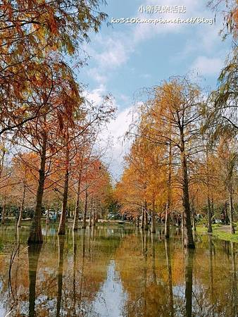 20170101花蓮鈺展苗圃 (6) 20170101花蓮鈺展苗圃 (6)