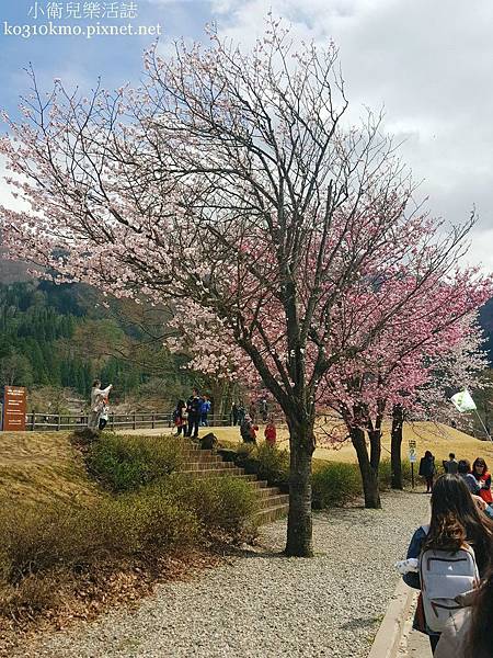 世界文化遺產-合掌村 (7)