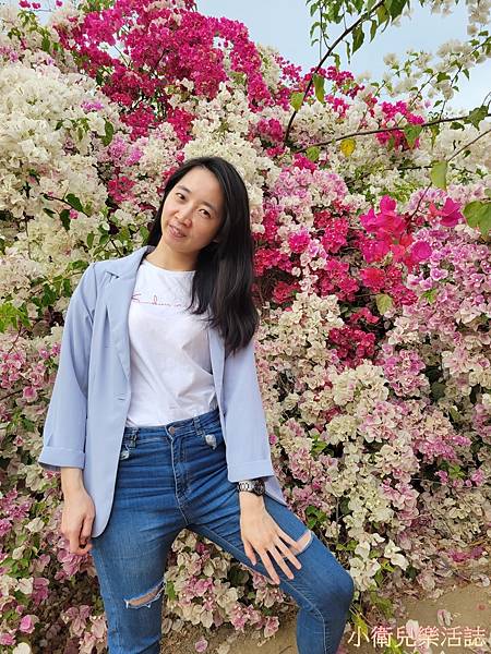 嘉義九重葛秘境．義德寺．嘉義景點近仁義潭水庫