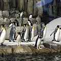 自然生態博物館Le Biodome de Montreal