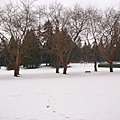 Standley park