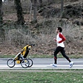 中央公園Central Park--爸爸推著嬰兒車跑步