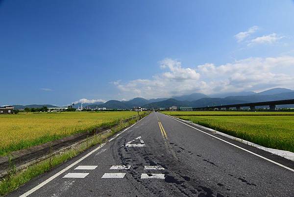 DSC_0847.JPG DSC_0847.JPG