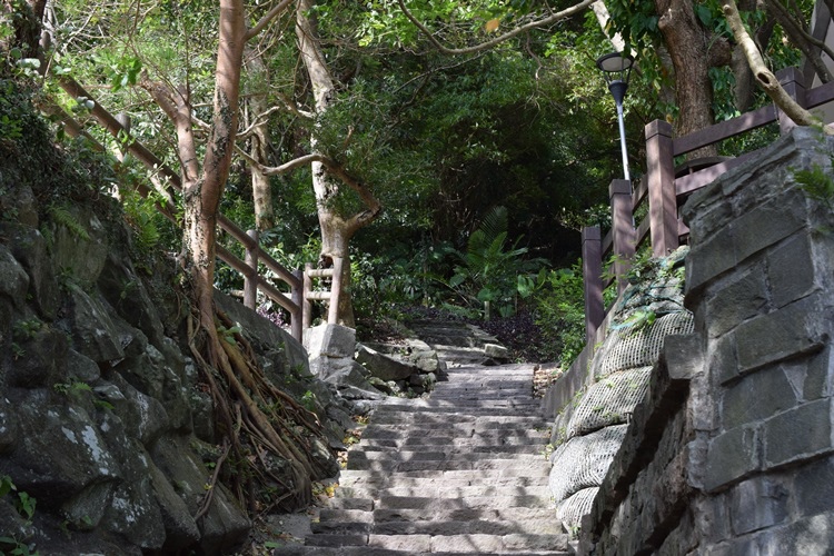 DSC_0080.JPG DSC_0080.JPG