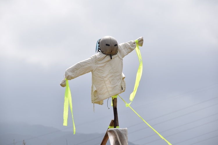DSC_0472.JPG DSC_0472.JPG