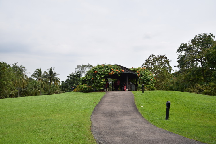 DSC_0051.JPG DSC_0051.JPG