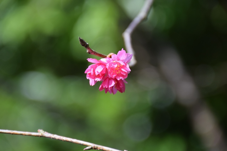 DSC_0470.JPG DSC_0470.JPG