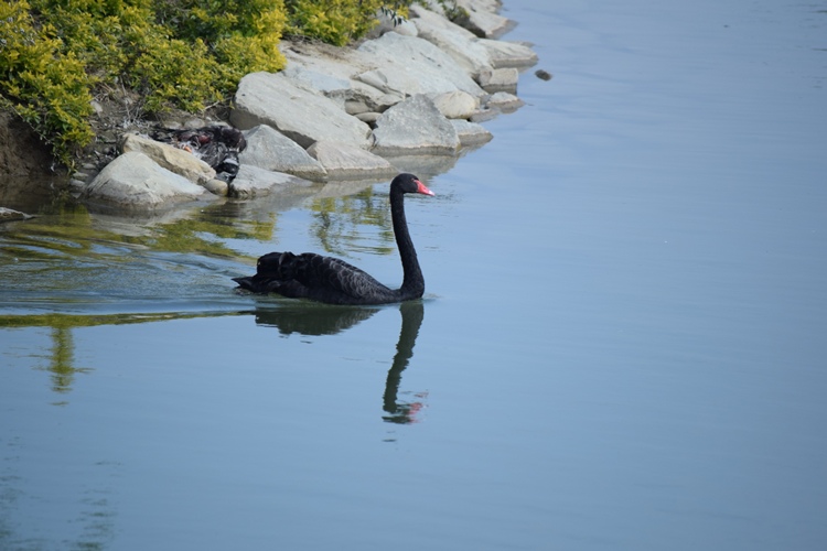 DSC_0025.JPG DSC_0025.JPG
