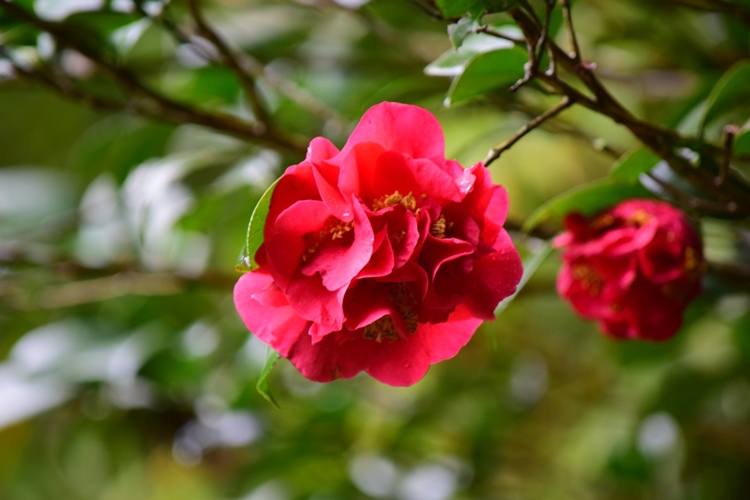 DSC_0262.JPG DSC_0262.JPG