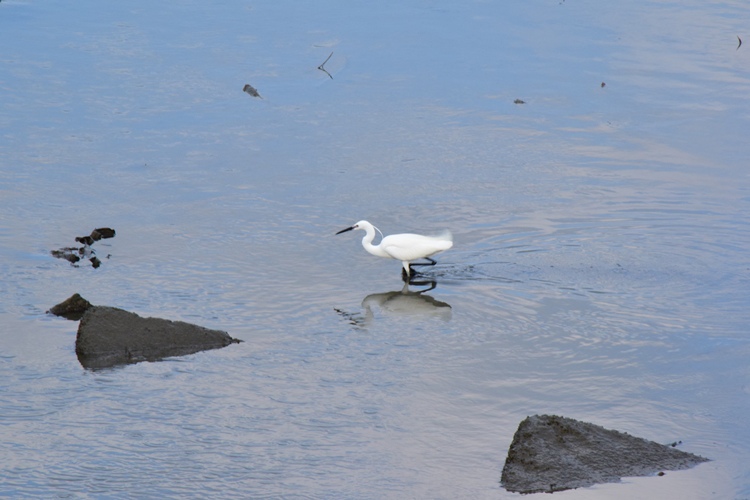 DSC_0331.JPG DSC_0331.JPG