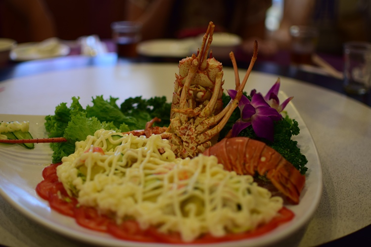 DSC_0024.JPG DSC_0024.JPG