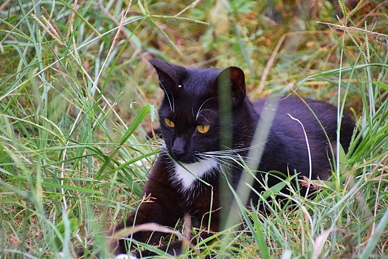 DSC_0045.JPG DSC_0045.JPG