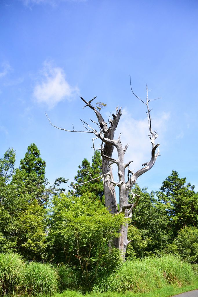 DSC_0891.JPG DSC_0891.JPG
