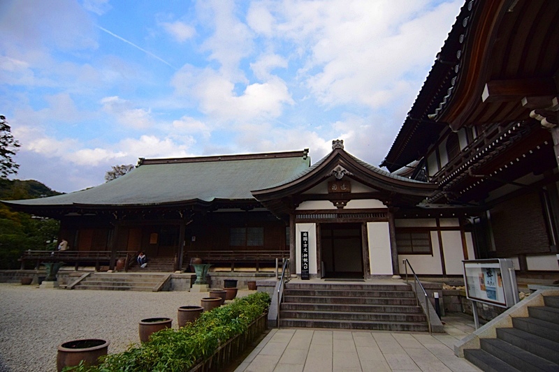 DSC_0107.JPG DSC_0107.JPG