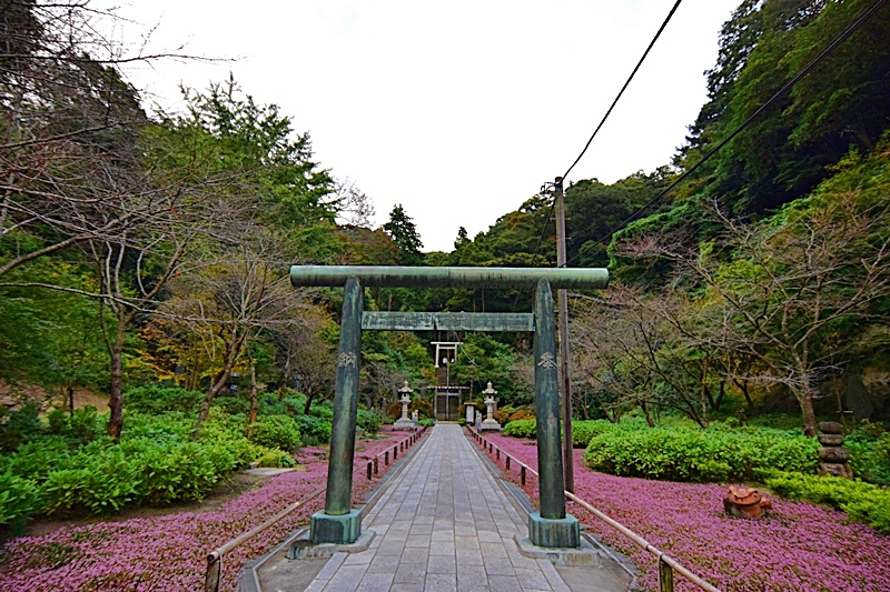 DSC_0116.JPG DSC_0116.JPG