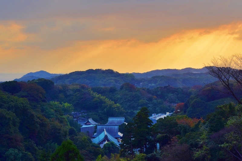 DSC_0127.JPG DSC_0127.JPG