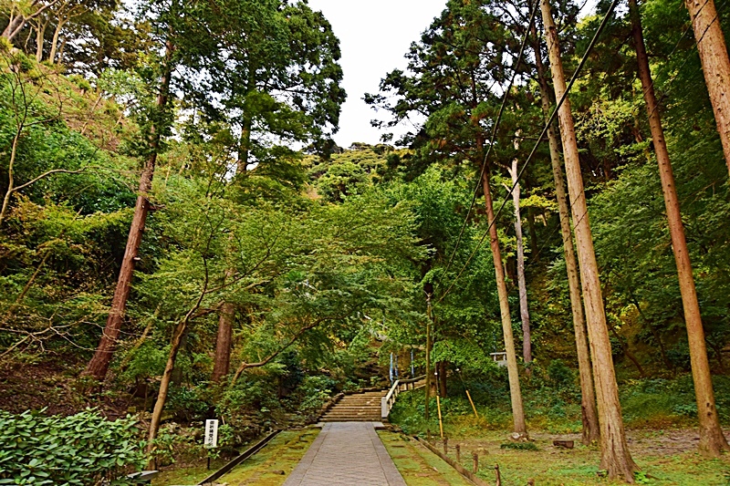 DSC_0146.JPG DSC_0146.JPG