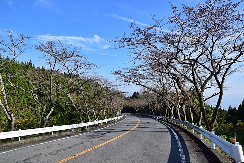DSC_0169.JPG DSC_0169.JPG