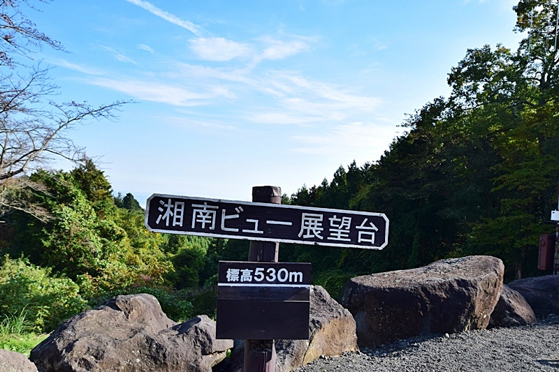 DSC_0174.JPG DSC_0174.JPG