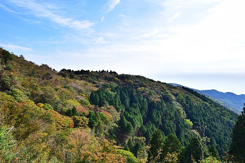 DSC_0182.JPG DSC_0182.JPG