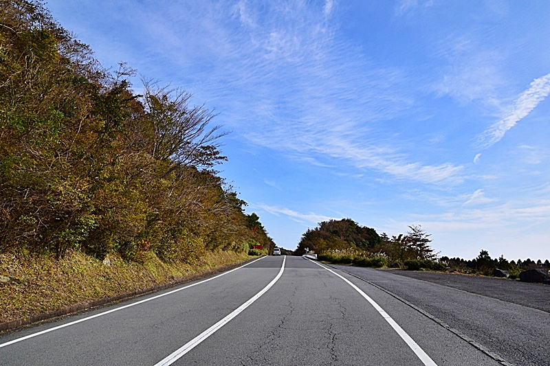 DSC_0185.JPG DSC_0185.JPG