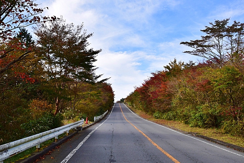 DSC_0186.JPG DSC_0186.JPG