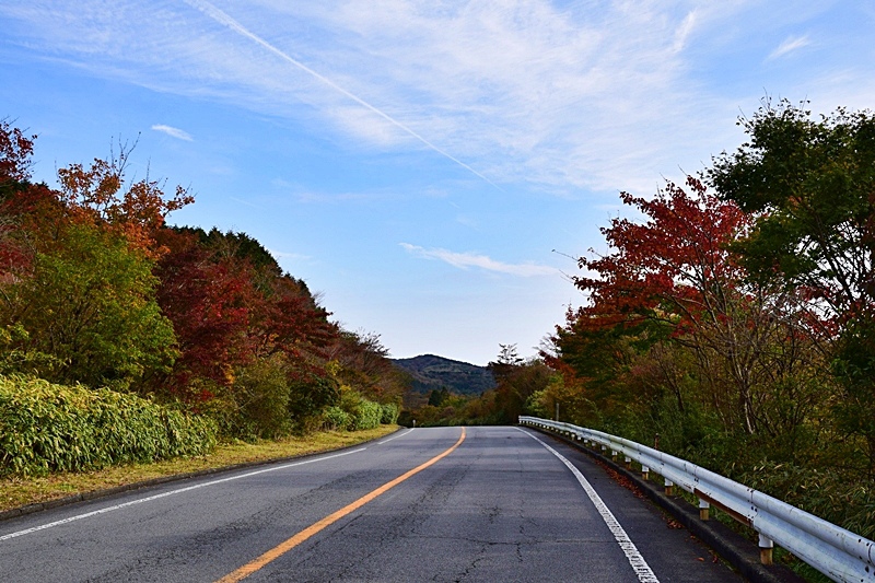 DSC_0192.JPG DSC_0192.JPG