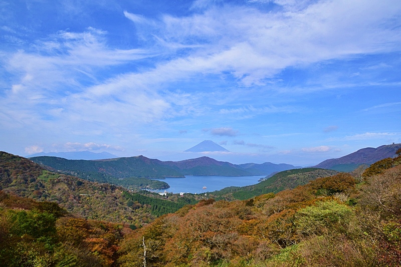 DSC_0195.JPG DSC_0195.JPG