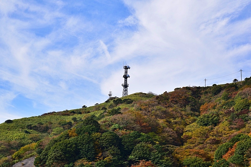 DSC_0220.JPG DSC_0220.JPG