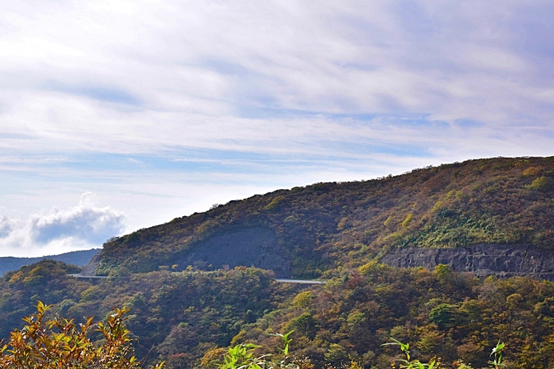 DSC_0221.JPG DSC_0221.JPG