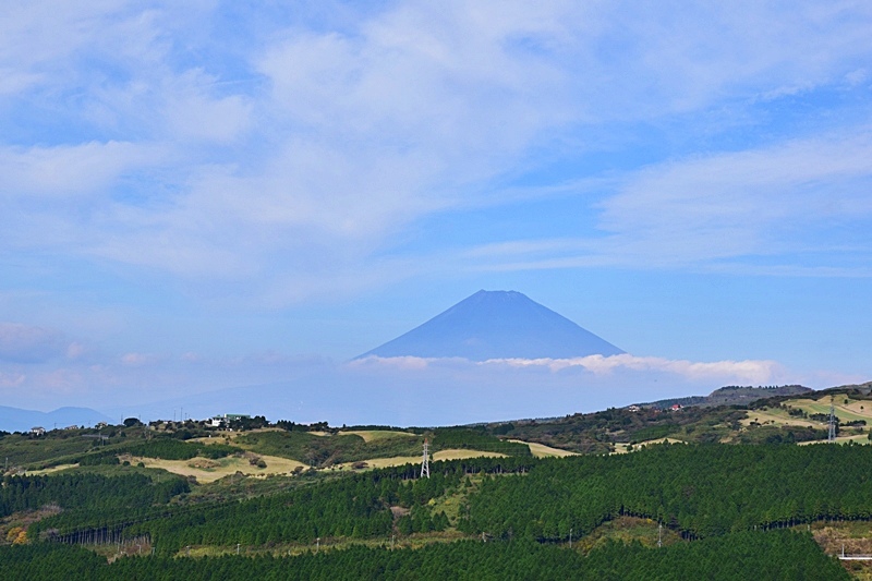 DSC_0224.JPG DSC_0224.JPG