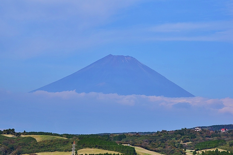 DSC_0231.JPG DSC_0231.JPG
