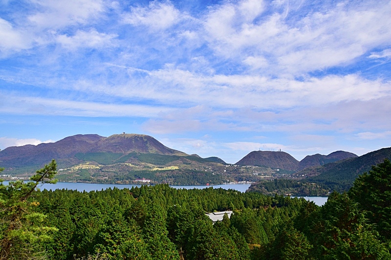DSC_0236.JPG DSC_0236.JPG