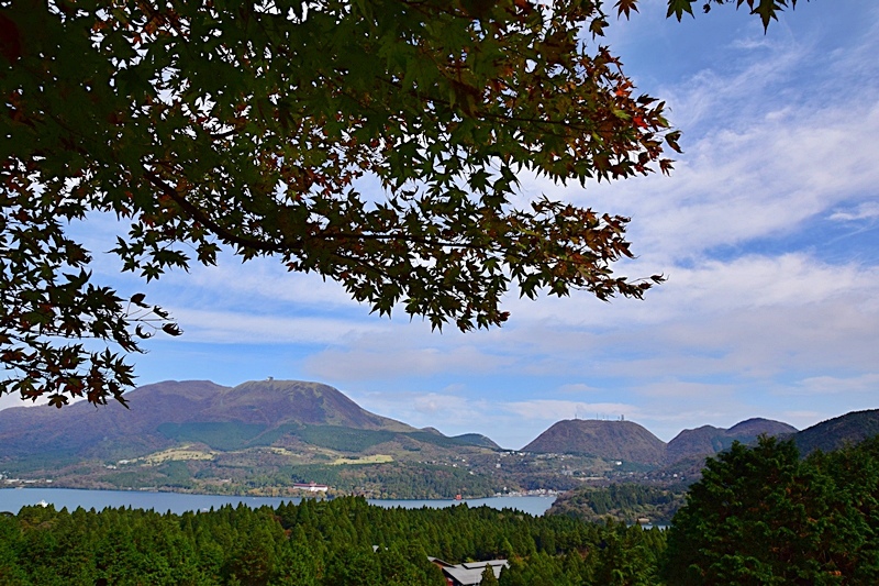 DSC_0240.JPG DSC_0240.JPG