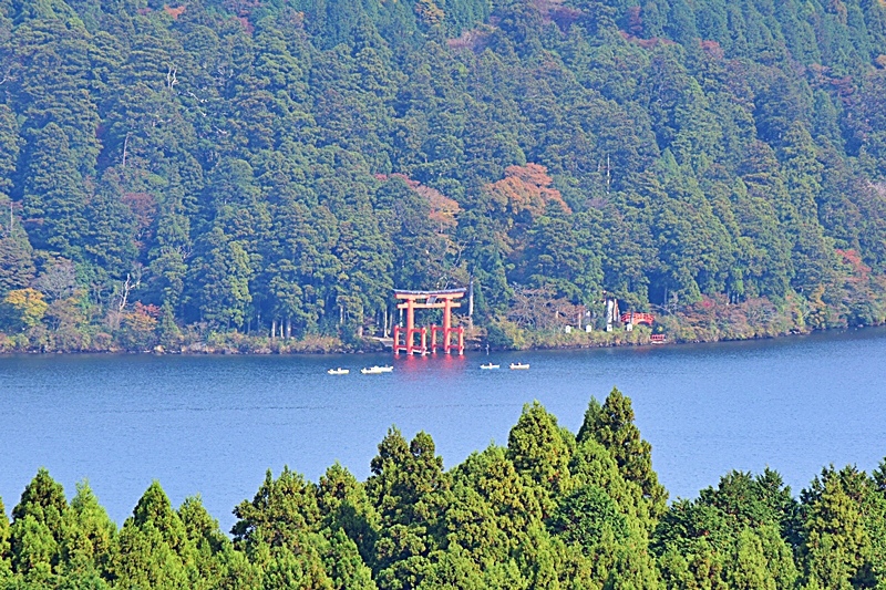DSC_0249.JPG DSC_0249.JPG
