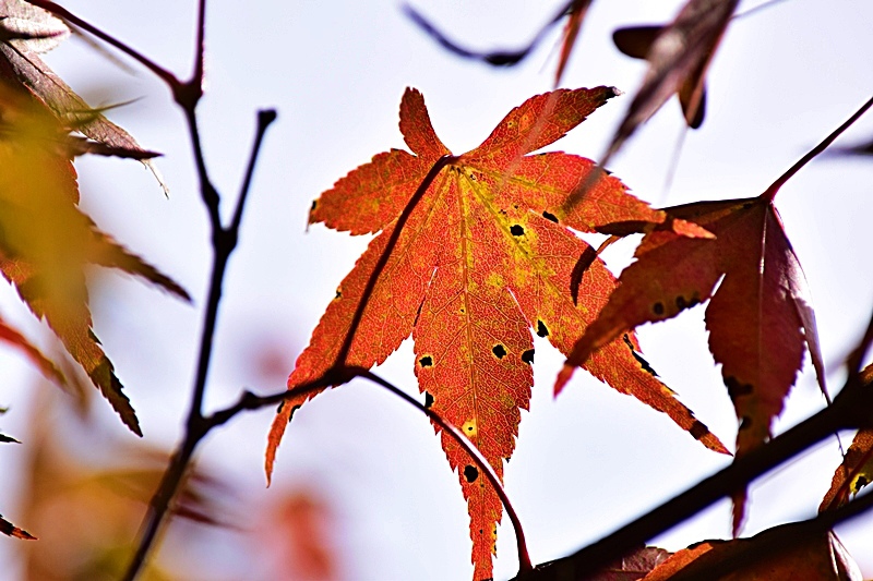 DSC_0257.JPG DSC_0257.JPG