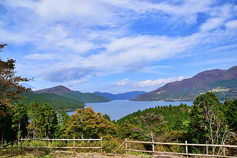 DSC_0263.JPG DSC_0263.JPG