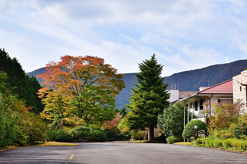 DSC_0289.JPG DSC_0289.JPG
