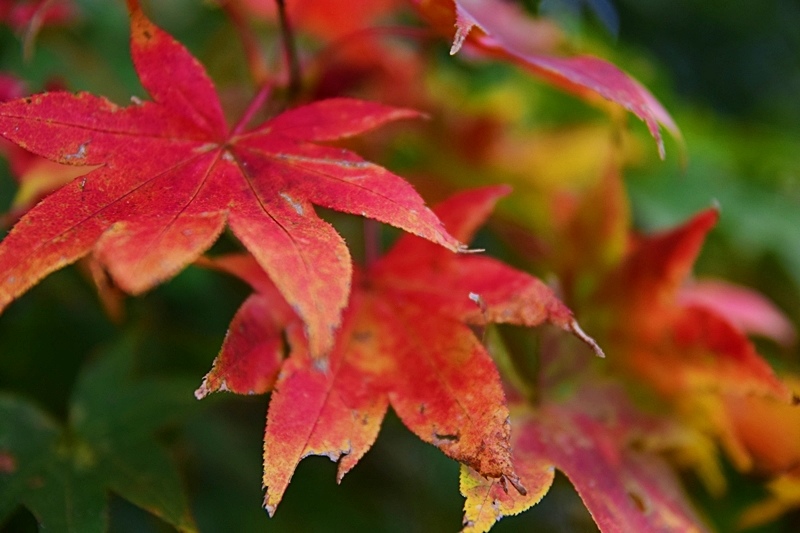 DSC_0292.JPG DSC_0292.JPG