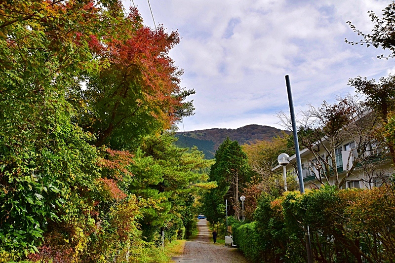 DSC_0297.JPG DSC_0297.JPG