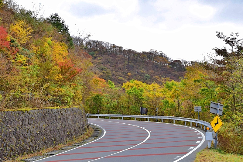 DSC_0305.JPG DSC_0305.JPG