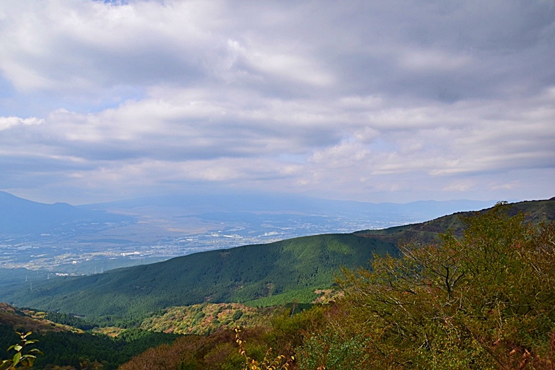 DSC_0309.JPG DSC_0309.JPG