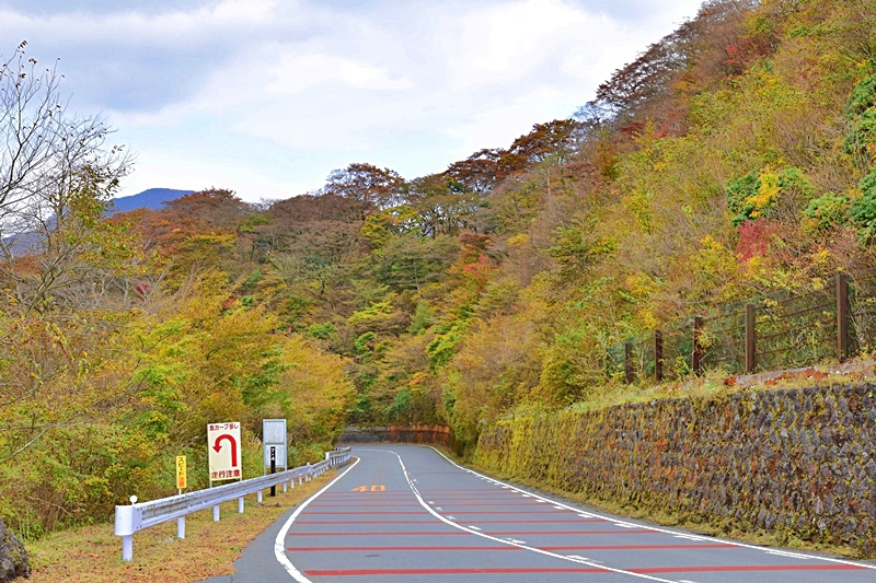 DSC_0314.JPG DSC_0314.JPG