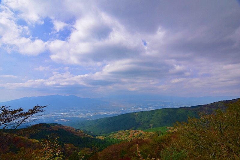DSC_0320.JPG DSC_0320.JPG