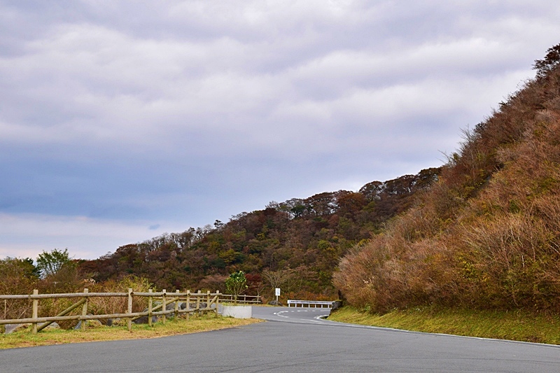 DSC_0334.JPG DSC_0334.JPG