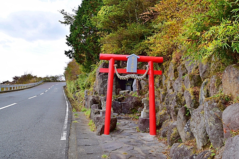 DSC_0336.JPG DSC_0336.JPG