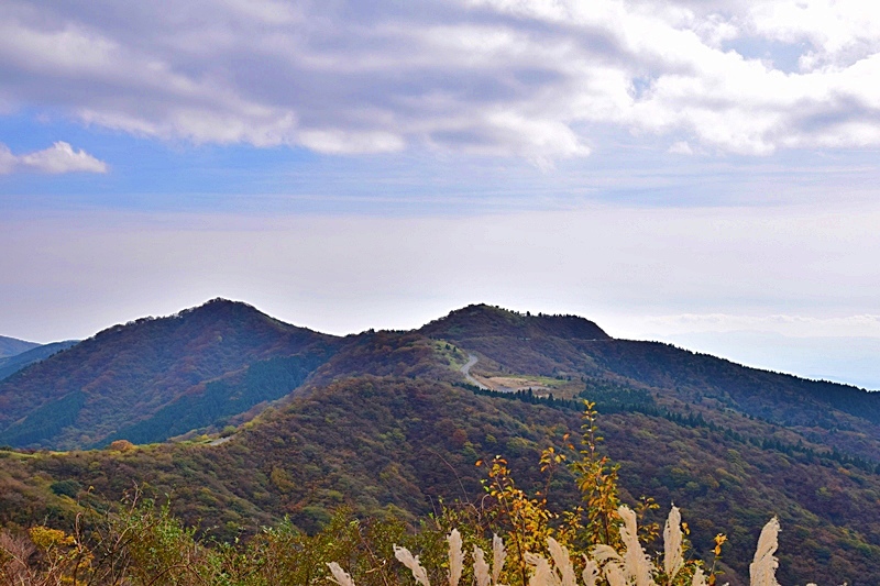 DSC_0340.JPG DSC_0340.JPG